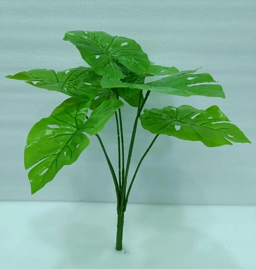 Monstria Big Plant x 7